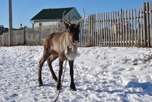 Фото: Марина Плещенко
