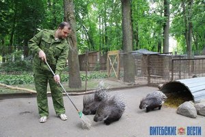 Фото: Дмитрий Осипов