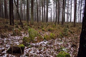 Фото Василия Овчинникова, http://globus.tut.by/