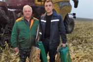 Витебская область собрала более 1 млн. тонн зерна с учётом кукурузы (27.10.2019)