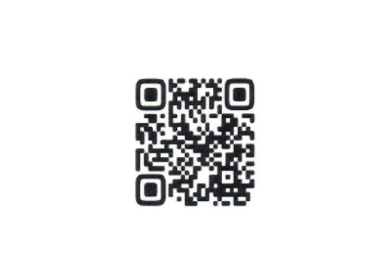 Профилактическая акция "На страже цифровой безопасности"